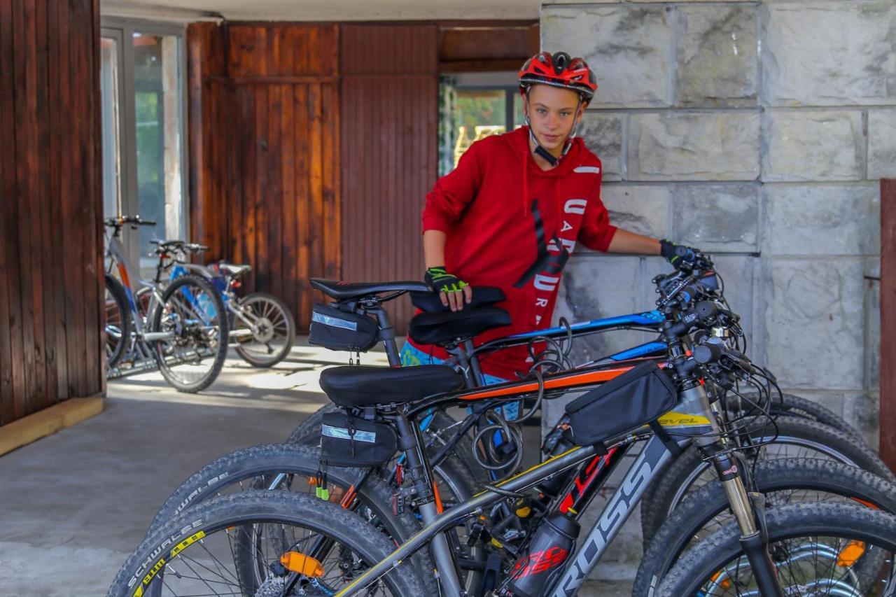 Krokodyl Sport&spa